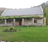 Fynbos at Fairfield, Ceres