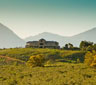 Guinevere Guest Farm, Tulbagh