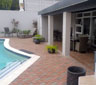 Olive Grove Guesthouse, Parow