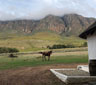 Oude Compagnies Post, Tulbagh