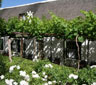 Port Wine Guest House, Calitzdorp