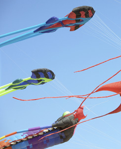 Cape Town International Kite Festival